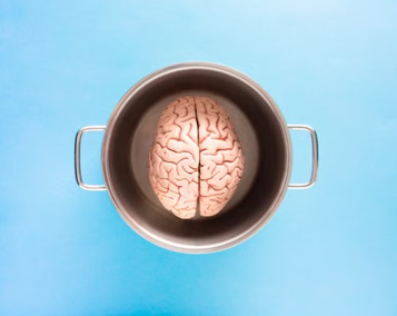 Micronutrition et pathologies du système nerveux