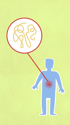 Micronutrition et Santé du Microbiote Intestinal